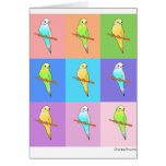 Parakeet Rainbow Rectangles cards
