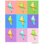 Parakeet Rainbow Rectangles t-shirts