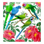 Parakeets and Peonies Poster