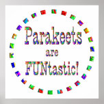 Parakeets are FUNtastic Poster