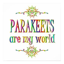PARAKEETS are my world posters by AllPetsStore PARAKEETS are my world posters