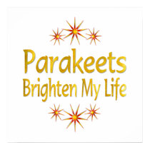 Parakeets Brighten My Life posters by AllPetsStore Parakeets Brighten My Life posters
