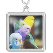 Parakeets Necklace