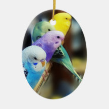 Parakeets Ornament