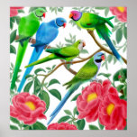 Parakeets &amp; Peonies Print