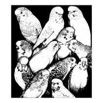 Parakeets Print by ouidamac Parakeets Print