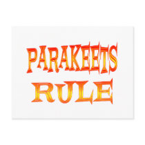 Parakeets Rule postcards by AllPetsStore Parakeets Rule postcards
