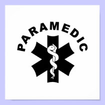 Paramedic Theme posters