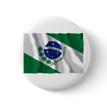 Paraná, Brazil Waving Flag buttons