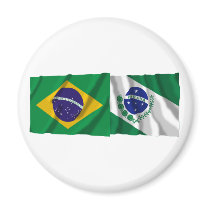 Paraná &  Brazil Waving Flags Magnet