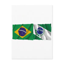Paraná &  Brazil Waving Flags Post Cards