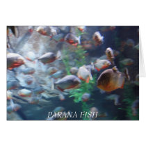 Parana cards by tauheedah Parana cards