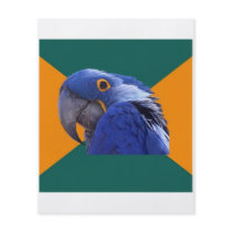 Paranoid Parrot Bird Advice Animal Meme Flyer Design