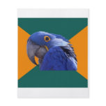 Paranoid Parrot Bird Advice Animal Meme Flyer Design