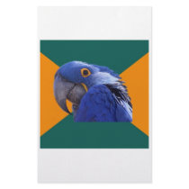 Paranoid Parrot Bird Advice Animal Meme Stationery Paper