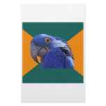 Paranoid Parrot Bird Advice Animal Meme Stationery Paper