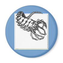 Parasite magnets