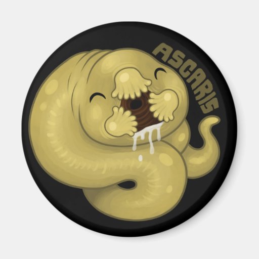 PARASITES: Ascaris Fridge Magnet