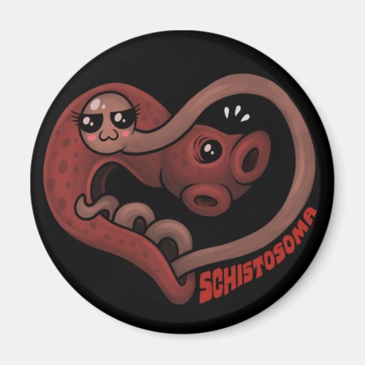 PARASITES: Blood Flukes (schistosoma) Refrigerator Magnet