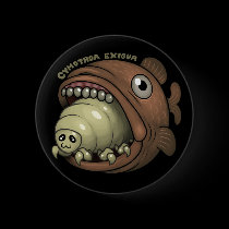 PARASITES: Cymothoa exigua buttons