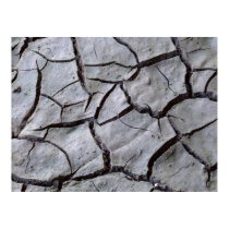 Parched Earth posters