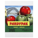 Pardypak Full Color Flyer