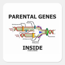 Parental Genes Inside (DNA Replication) Square Sticker