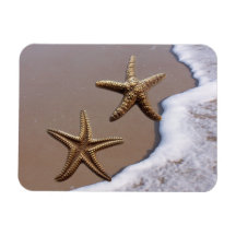 Pares de estrellas de mar de cobre amarillo imanes rectangulares