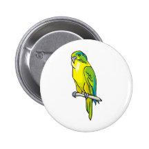 pariot pinback buttons