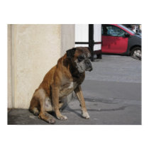 Paris Dog posters by broma30 Paris Dog posters