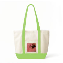 Paris in Pink bags