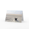 Paris in the Sand cards