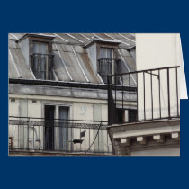 Paris life cards