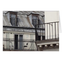 Paris life cards