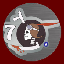 Paris P-40 WWII Nose Art stickers