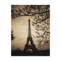 Paris Postcards