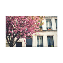 Parisian Pink Blossoms 2 Gallery Wrap Canvas