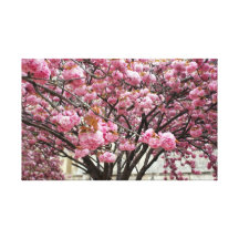 Parisian Pink Blossoms Canvas Prints