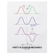 Parity In Quantum Mechanics Custom Flyer