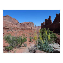 Park Avenue- Arches National Park Post Card