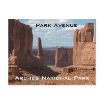Park Avenue Post Cards