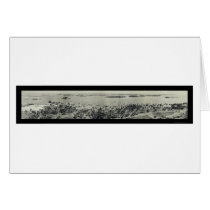 Park & Bay Miami Scene Photo 1951 cards