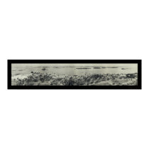 Park & Bay Miami Scene Photo 1951 posters