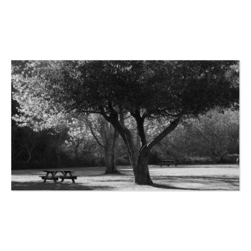Park Bench and Tree Photo Business Card (front side)