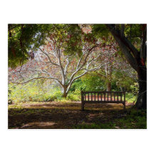 Park Bench Postcard