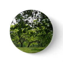 Park Button
