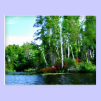 Park Falls Wisconsin Postcard postcards