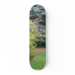 Park In Autumn Skate Decks