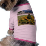 Park In Corfu Town In Greece Doggie T-shirt