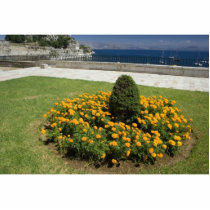 Park In Corfu Town In Greece photo sculptures